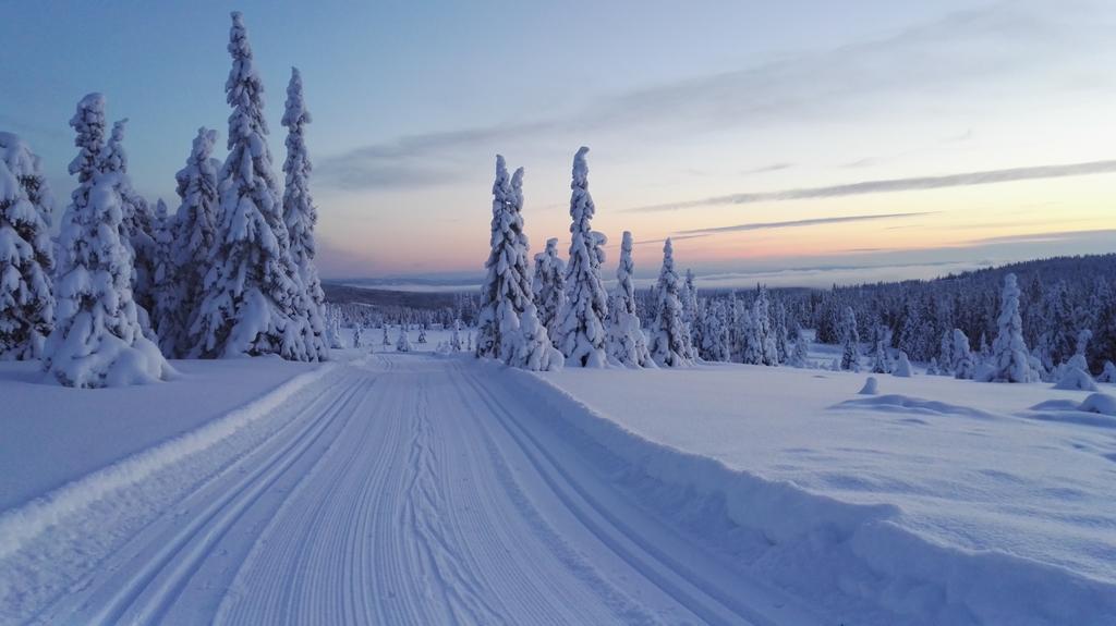 Nordseter Apartments Lillehammer Kültér fotó